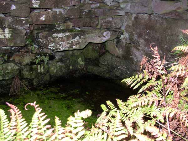 Picture of holy well